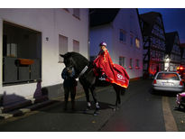 Sankt Martin mit Laternenumzug durch die Stadt (Foto: Karl-Franz Thiede)